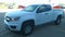 2019 Chevrolet Colorado 4WD Work Truck